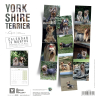 Harnais nylon pour chien - So chic vert