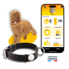 Harnais orange - Mon Marcel pour chien - larg 16mm Long 35 à 50cm