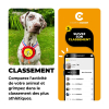 Collier en cuir pour chien - Happy dog - larg 25mm Long 40cm