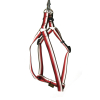 Harnais baudrier en nylon - Baya - 41/72cm - 2.5cm - rouge