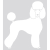 Sticker - Poodle Silhouette - 20cm - black x 1