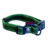 Leather collar - Oiled stitched - 40/55cm - 2cm - green
