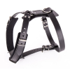 Leather harness - Intervention - 21/65cm - black