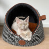 Collier droit pour chat - Pattes de chat - rouge