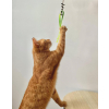 Arbre a chat - Diabolo luxe