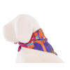 Bandana - Rio - Size 2 - Multicoloured