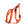 Collier pour chien nylon rose - 4 x 50 à 70 cm