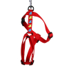 Harnais en nylon - Classique chien - 30/50cm - 1.6cm - rouge x 1