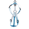Harnais en nylon - Color vibe - 25/35cm - 1cm - bleu