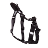 Polaire - Collection Explorer - Noire - T32