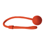 H by Héry Soin des Oreilles 100ML - Chien