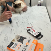 Parfum Vivog - Cœur de Bandit pour chiot ou chaton