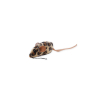 Acana Bountiful Catch - Croquettes pour Chat - 340g