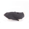Brosse en caoutchouc pour chien
