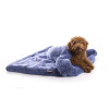 Ciseaux de toilettage droits XP392 - semi-professionnels - Optimum Blue Ray - 17 cm