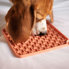 Gamelle INOX pour chien - Cerise - 0.24 L