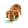 Etrille pour chien et chat - Vivog