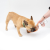 Shampooing professionnel pour chien - pelages noirs  - Héry Pro - 250ml