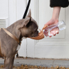 Shampooing pour chien - professionnel - Héry Pro - 5 litres