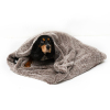 Souris pour chat