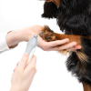 Collier pour chien en cuir - confort noir - 70 x 4 cm