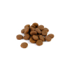 Gosbits  Dental Medium 800 gr