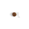 Gosbits  Dog Objective Dental Mini 150g