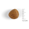Gosbits  Dog Objective Prebiotic 150g 