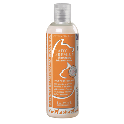 Shampooing Lady Premium - Ladybel - 4L x 1