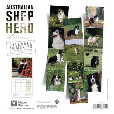 Calendar - Australian Shepherd - 2027