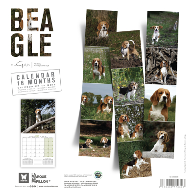 Calendrier - Beagle - 2027