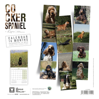 Calendar - Cocker Spaniel - 2027