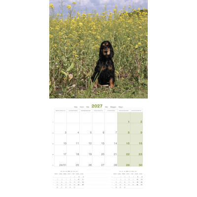 Calendar - Cocker Spaniel - 2027