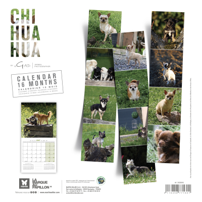 Calendrier - Chihuahua - 2027