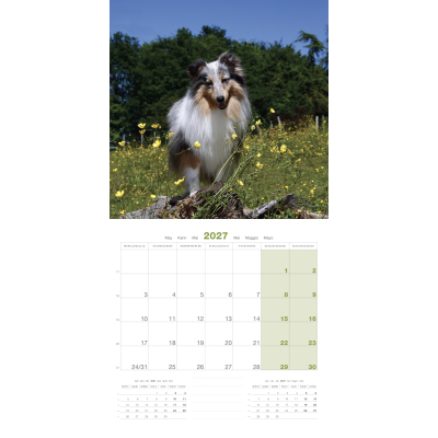 Calendar - Shetland - 2027