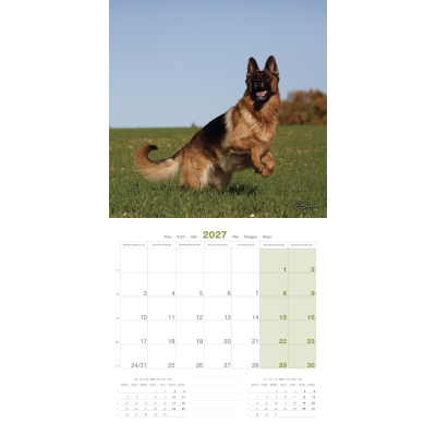 Calendar - German Shepherd - 2027