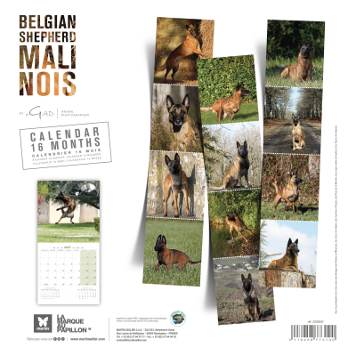 Calendar - Belgian Malinois Shepherd - 2027