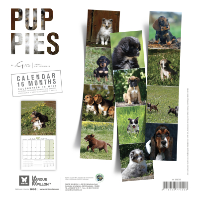 Calendar - Puppies - 2027