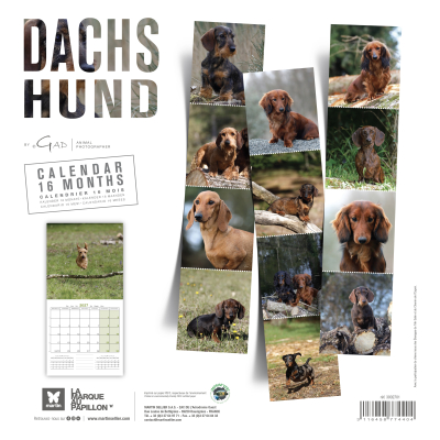 Calendar - Dachshund - 2027