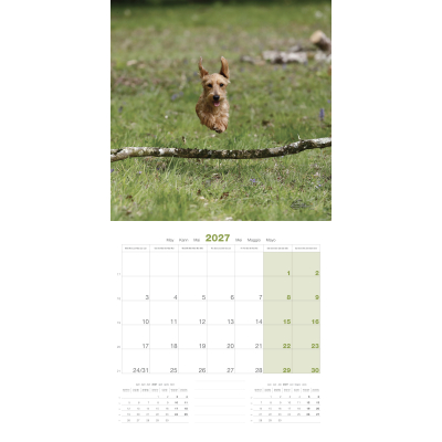 Calendar - Dachshund - 2027