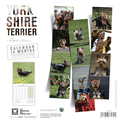 Calendar - Yorkshire - 2027