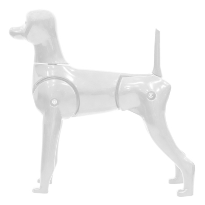 Mannequin Chien nu articulé pour entraînement au toilettage