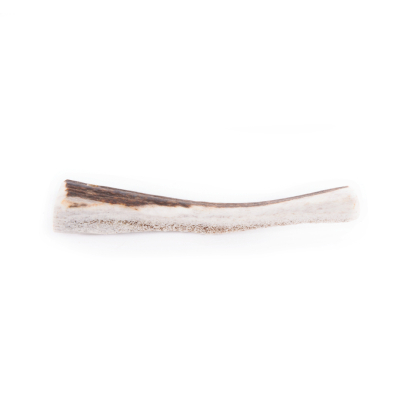 Demi bois de cerf biseau S - 20-45g 1