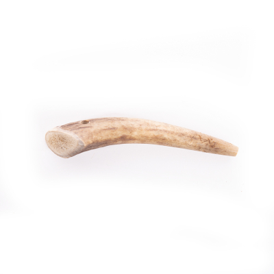 Whole deer antler S - 20-45g 1