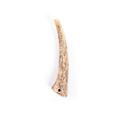 Whole deer antler S - 20-45g 1