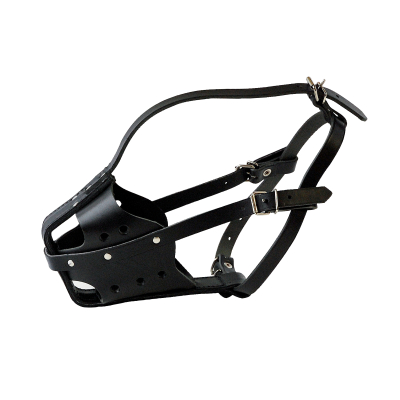 Muselière rottweiler mâle
