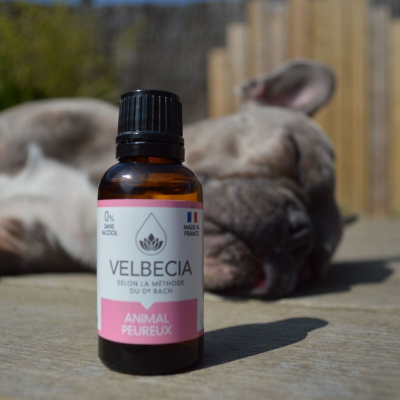 Fleurs de Bach Velbecia Animal Peureux - 30ml