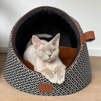 Lot de 2 cachette marron - Avenue Montaigne