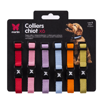 Pack collier chiot x6