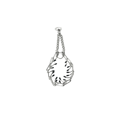 Collier Education Torquatus chromé - 3mm - 58 cm